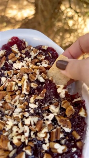 Holiday Dip https://aldentediva.com/holiday-cranberry-dip/ | Al Dente Diva Food & Recipes