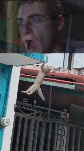 A real story from a cartoon😭💔. #cat #simba #funny #trending #trendingshorts #shorts #💔