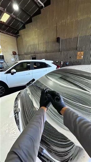 POV Tesla Brush Wash 🧽 / Part 2 / 2023 Tesla Model 3