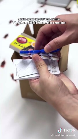 Essential Cockroach Exterminator for Homeowners