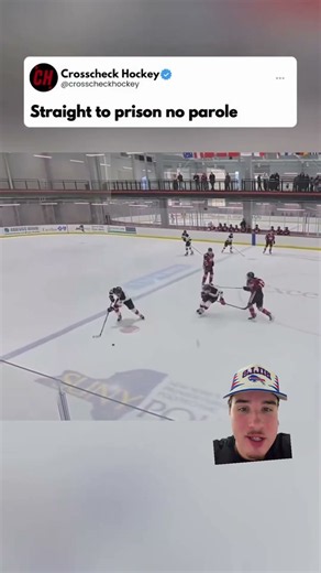 His stick bro after whacking bros head! #shorts #hockey #nhl