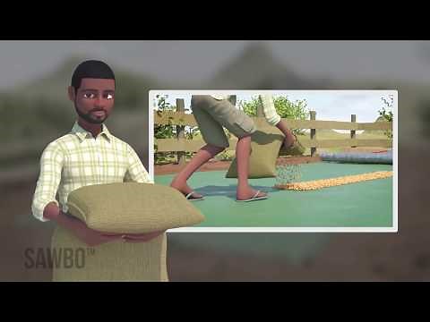 Postharvest Loss: How to Build a Solar Grain Dryer in English (accent from USA)