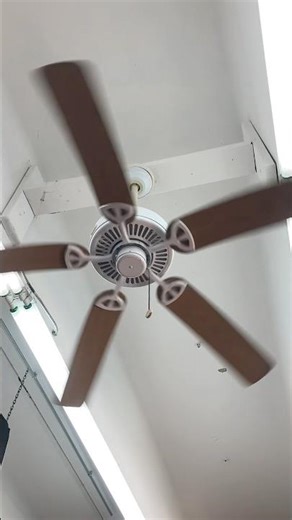 Hampton Bay Farmington Ceiling Fans in Wildwood NJ