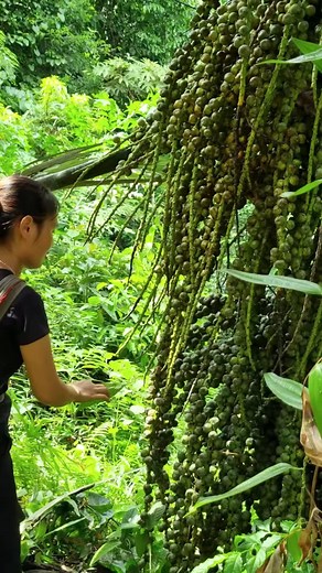 5.2K views · 67 reactions | Motion Pro Studio on Reels | Facebook