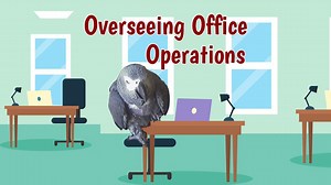 24K views · 1K reactions | Step into the bustling world of office operations with Einstein the parrot! Watch as Einstein oversees tasks with keen observation and affectionate interactions. From exchanging kisses to mimicking sounds and offering treats, Einstein's presence brings warmth and joy to the workplace. Einstein ensures productivity and smiles abound. | Einstein the Talking Texan Parrot | Facebook