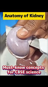 2K views | Class 1-105 times better →https://peurl.in/BR4v ✅ 10,000,000+ Parents’ and Students’ Choices! ✅ 6 days double your child’s calculation speed ✅ 50+ Maths tricks ✅ 50+ Science concepts | Oda Class | Facebook