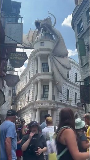 Bird escapes being fried by fire-breathing dragon at Harry Potter in Universal Studios Orlando