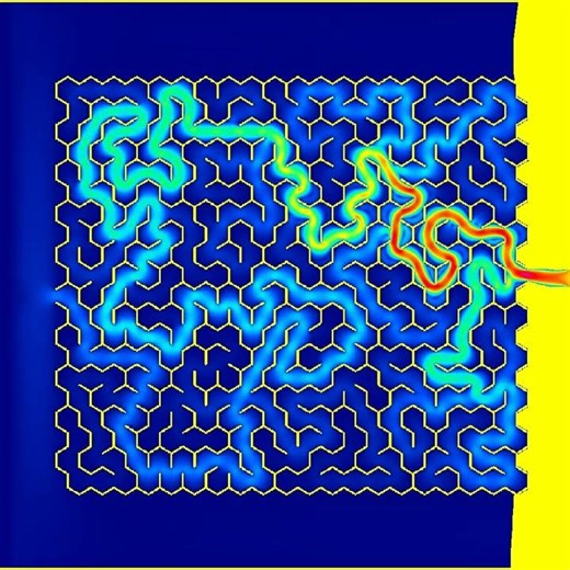 Lattice-Boltzmann D2Q9 WebGL - Solving Maze