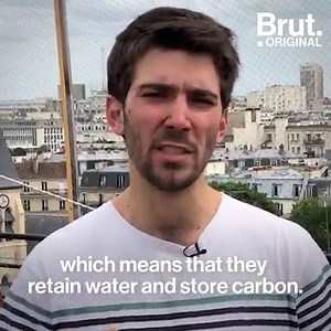 This French engineering school is growing crops on its rooftop and conducting experiments. Their goal: to change the face of urban agriculture. 🌿 | Brut nature