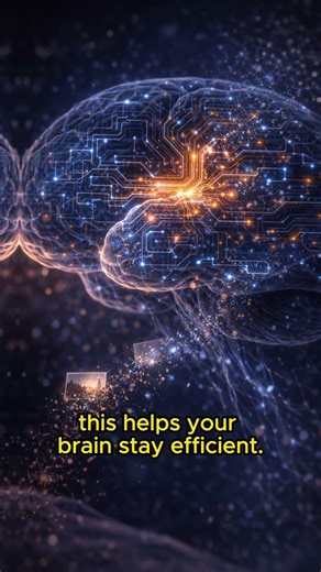 Your Brain Deletes Memories Every Night 🧠#BrainFacts#ScienceFacts#Neuroscience