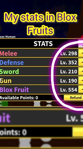 My stats in Blox Fruits #roblox #bloxfruits