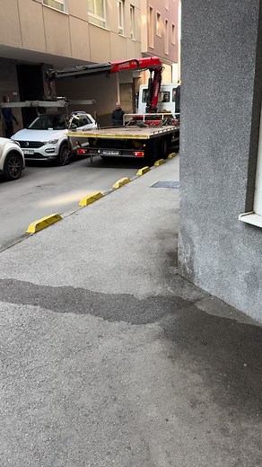 Pokupi ga pauk,5.11.'25.Sarajevo#beautiful #bosnia | Sabahudin Saba Hrustic