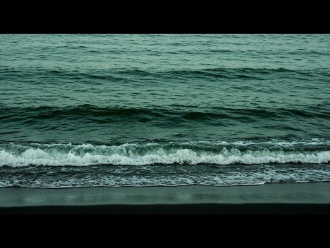 Dark Screen Ocean And Nature Sleep | Healing Dark Screen Ocean 🌊#11