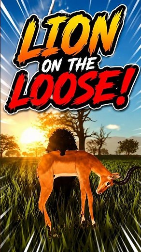 Lion on the Loose! 🦁 | Savannah Life Roblox
