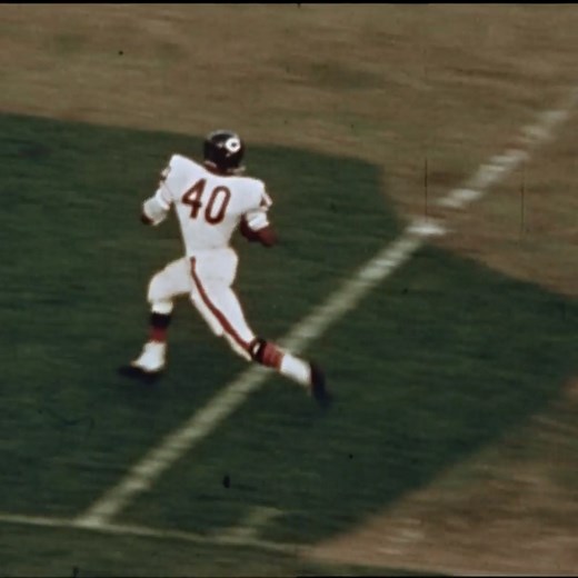 48K views · 2.4K reactions | The Kansas Comet was one of a kind. Happy birthday, Gale. We miss you. | Chicago Bears | Facebook