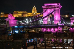 Budapest's Chain Bridge lit up in pink again - pictures, video