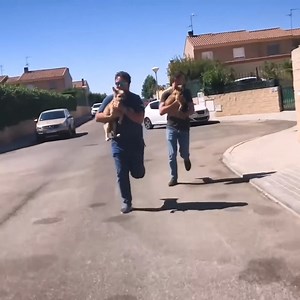 A Crazy Mission To Rescue Two Abused Dogs! 😲 | Viktor Larkhill Extreme Rescue