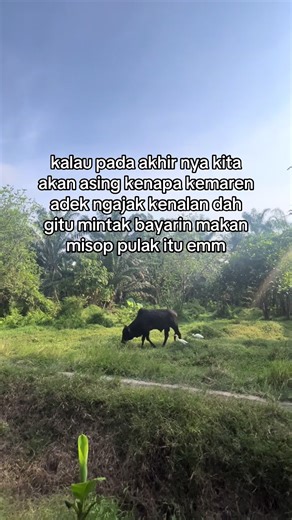 belum jugak sempat tegobel eh udah asing aja#cakapmedan #medantiktok #katakata #random #lagubatak