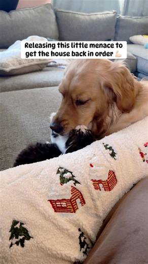 🐾 It’s a tough job but someone’s gotta do it. | Kendall Rayburn