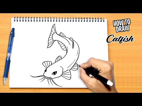How to draw Catfish