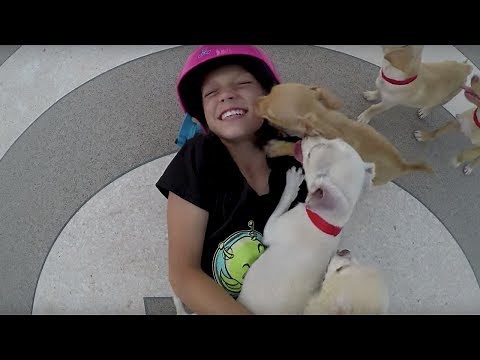 Gin Blossoms - Break (Official Music Video)