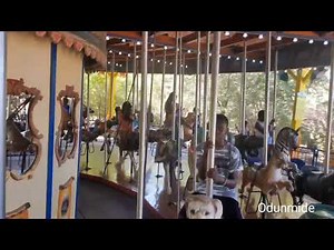 Carousel Ride at the #HoustonZoo