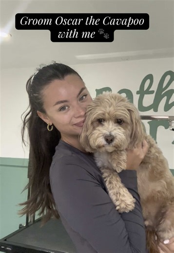 Easy Dog Grooming Session with Oscar the Cavapoo