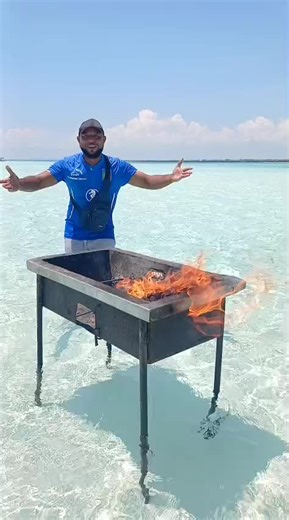 seahorse glass boat watamu (@seahorseglassboatwatamu)’s videos with original sound - seahorse glass boat watamu