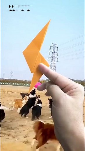 DIY PAPER NEW NINJA STAR EVEN EASY TUTORIAL #trending #pakistan #india #subscribe