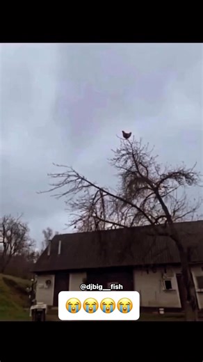 Different people in the gym 😂 | Djbig fish Comedy