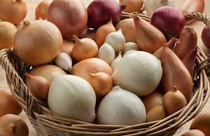 Voici l’astuce imparable pour conserver les oignons plus longtemps - Elle à Table