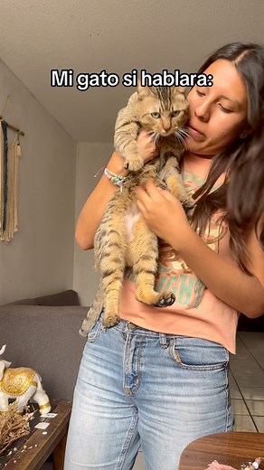 Su carita de gato lo dice todo 😅 | Carey macrame