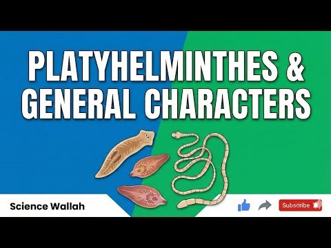 Platyhelminthes, #Parasitology#05 #General #Charecter #zoology #biology #B.Sc. #msc 