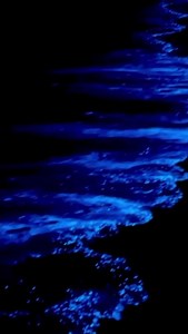 15K views · 156 reactions | Ever seen a glowing beach full of neon...