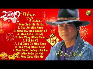 Mùa Xuân Đó Có Em Chế Linh - Nhạc Xuân Xưa Hải Ngoại Chế Linh Tuyển Chọn Hay Nhất