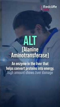 Alcohol, Stress, Junk Food? Don’t Ignore This! Your Liver Test Can Save Your Life! #shortsfeed