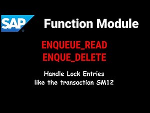 SAP: Function Module to Handle Lock Entries (ENQUEUE_READ & ENQUE_DELETE)