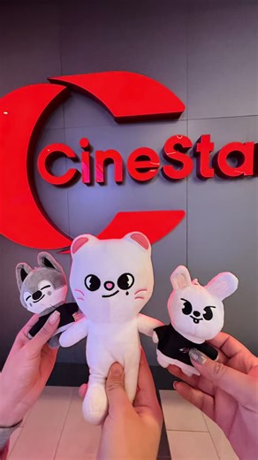 Celebrando el Cumpleaños de mi Pre Adolescente 🥳