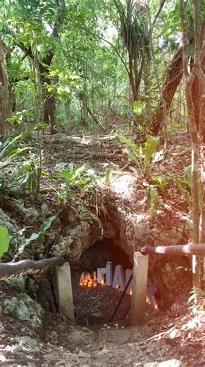 75 reactions | She Said Yes , yes I Love You .... #proposal Inf: https://wa.me/message/ZRVAUAIJQOJ5C1 | Bodas Mayas Cenote Taak Bi Ha | Facebook