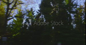 Autumn Driving - Driving driving slowly on a bumpy mountain road on a beautiful autumn day. POV shot from the side window of a car, hand-held camera - ProRes