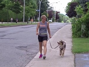 Conseils pour courir avec son chien (vidéo)