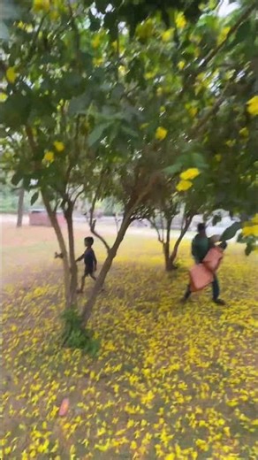 Walk into sundar nursery’s #travel #viral #reels #youtuber #nature #reelitfeelit #viralreels