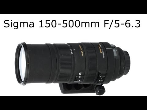 Sigma 150-500mm F/5-6.3 lens Review (With Sample Images)