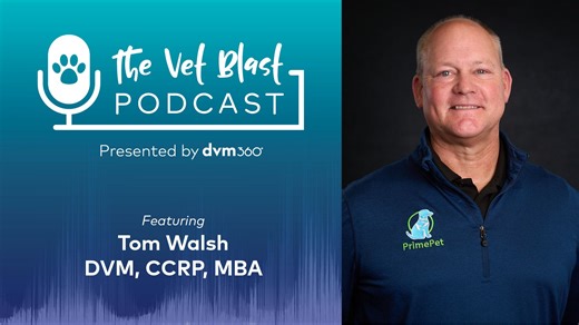 Transforming lives: overcoming serious injuries and aging challenges in pets | dvm360