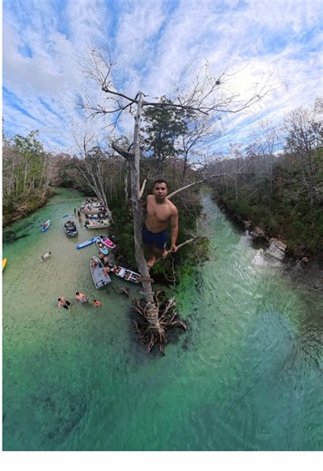 Exploring Weeki Wachee Springs: A Day of Fun