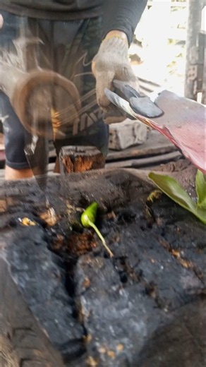 experiment unique blacksmith #blacksmithing #iron crafts #metalworking #handmadecraft