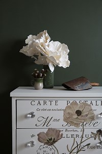 Upcycled thrift find dresser - Fusion™ Mineral Paint