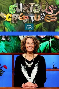 How to watch Curious Creatures: The best streaming options