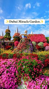 Experience the breathtaking beauty of #DubaiMiracleGarden 🌸✨. Millions of vibrant flowers, meticulously arranged into stunning, mind-blowing structures, create a floral paradise like no other 🌷🌺. From gigantic flower sculptures to elaborate patterns, this garden will leave you in awe of nature's wonders 🌼💖. Don't miss this unforgettable experience! 🎟️ Get your tickets now via the link in bio or at the gate! #MiracleGardenDubai #Flowers #Dubai #UAE #Travel #Paradise #Beauty | Dubai Miracle