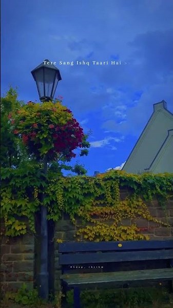 Pee Loon Song Lyrics Status ✨️❤️‍🩹#trending #viral #lyricsstatus #songlyrics #peeloonsong #song